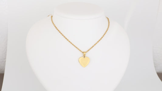 Stainless steel heart pendant with necklace