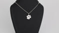 Load image into Gallery viewer, Stainless steel paw pendant with necklace
