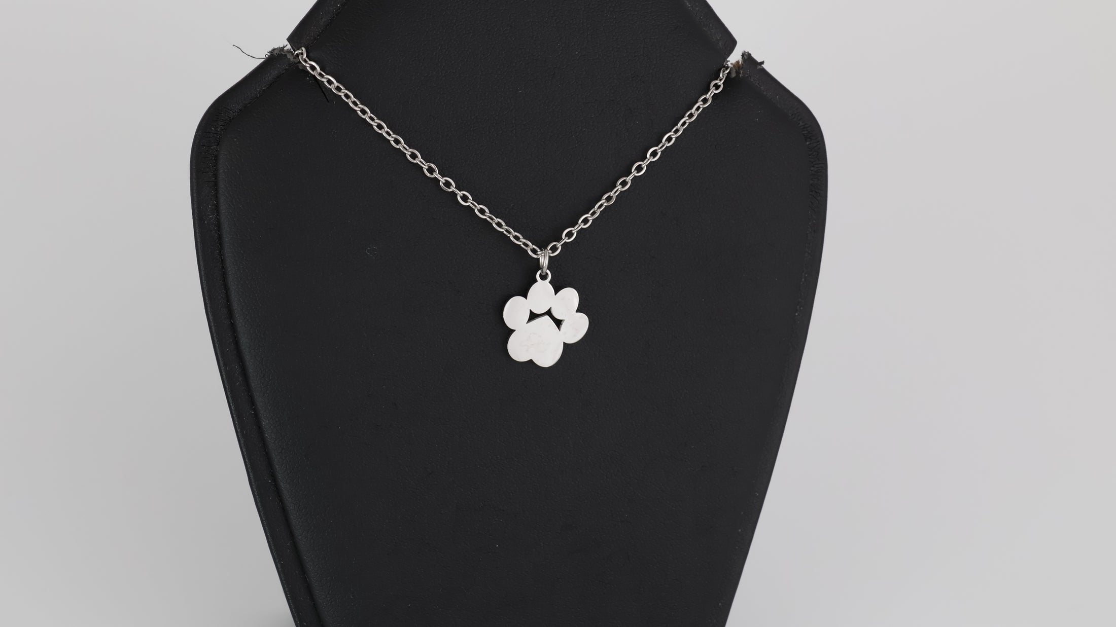 Stainless steel paw pendant with necklace