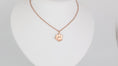 Load image into Gallery viewer, Stainless steel paw pendant with necklace
