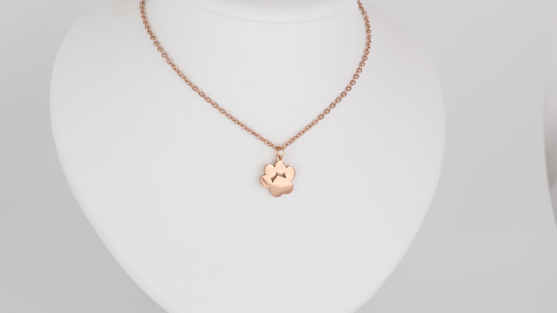 Stainless steel paw pendant with necklace