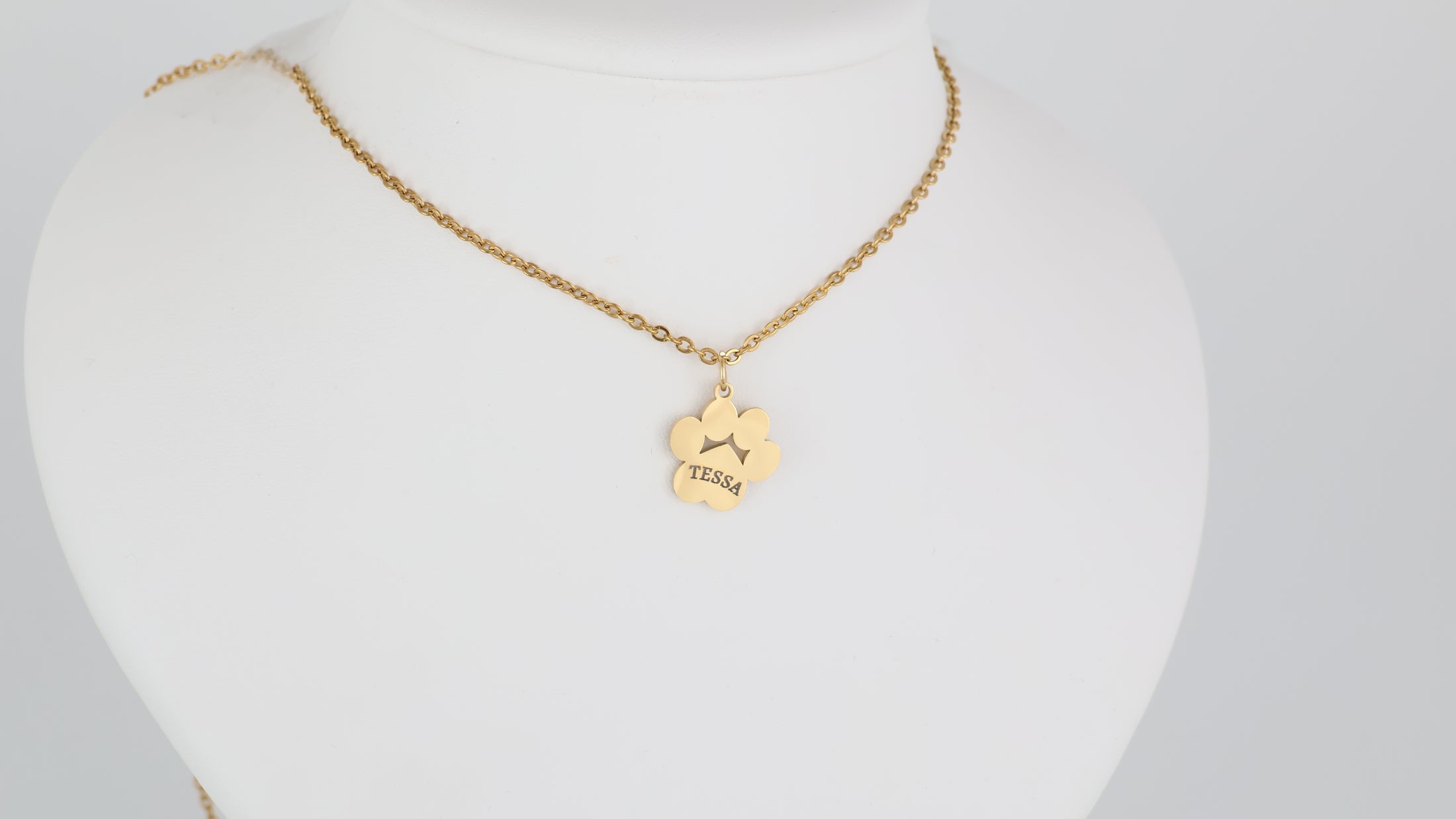 Stainless steel paw pendant with necklace