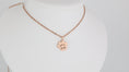 Load image into Gallery viewer, Stainless steel paw pendant with necklace
