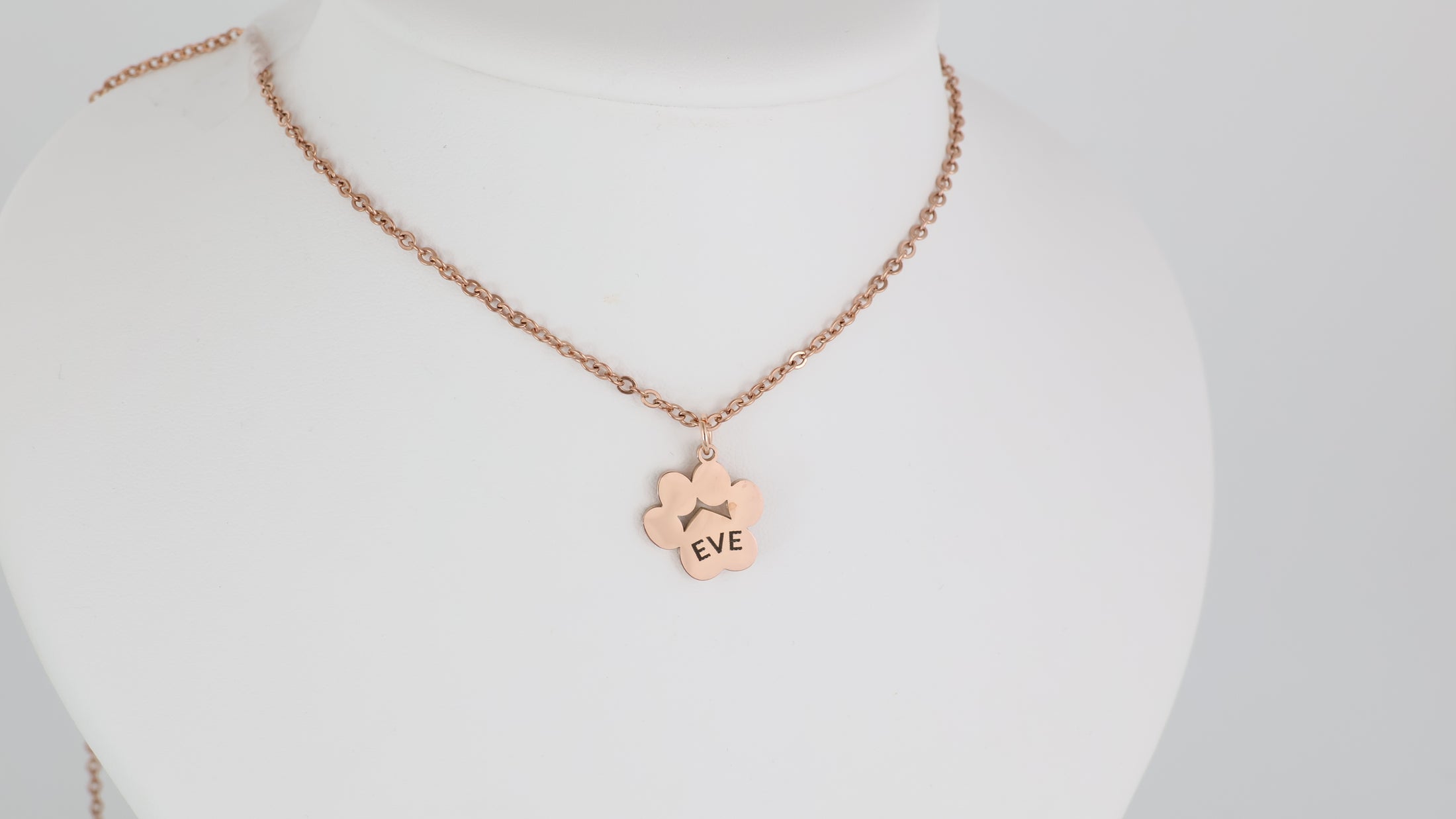 Stainless steel paw pendant with necklace