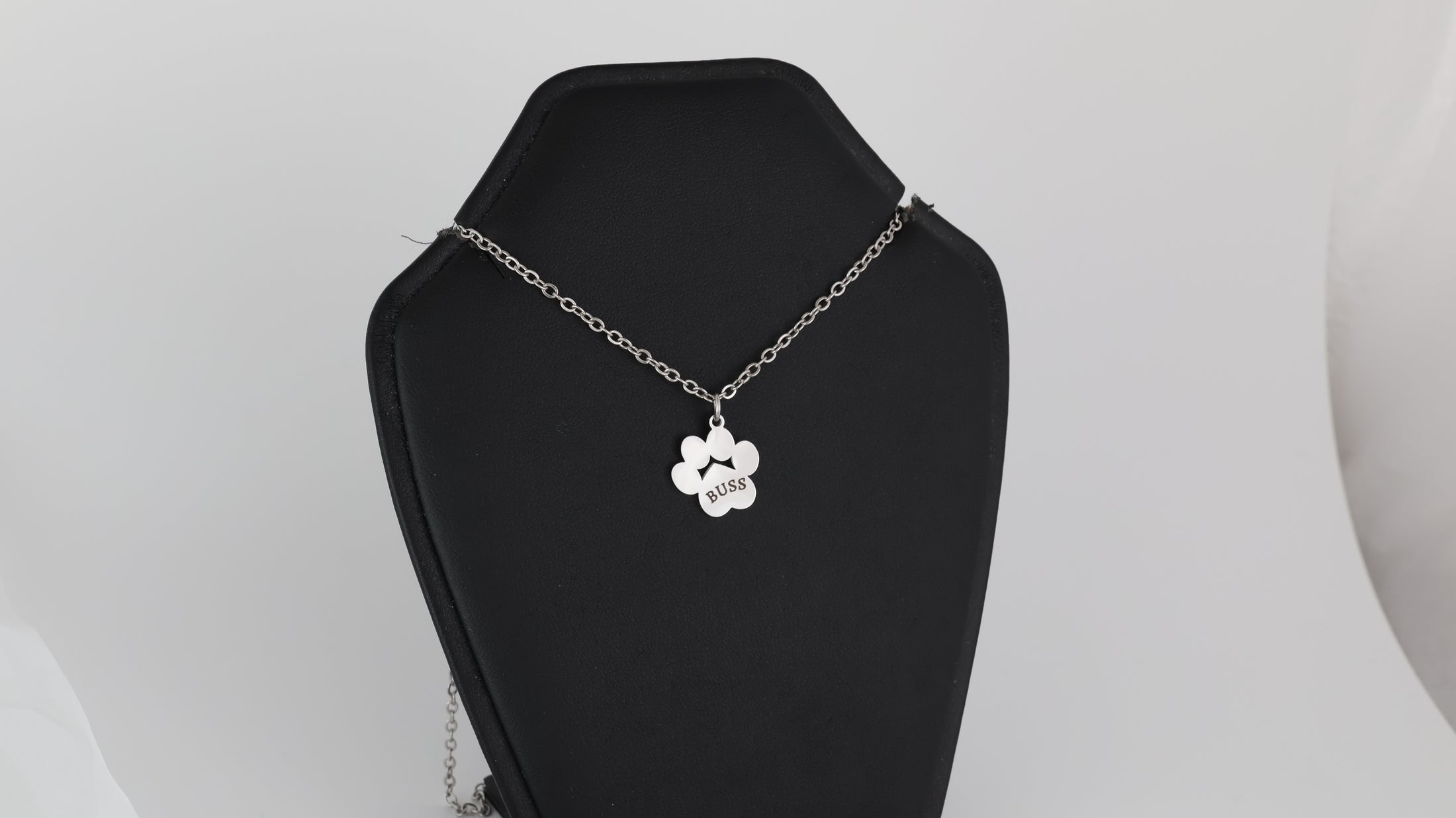 Stainless steel paw pendant with necklace